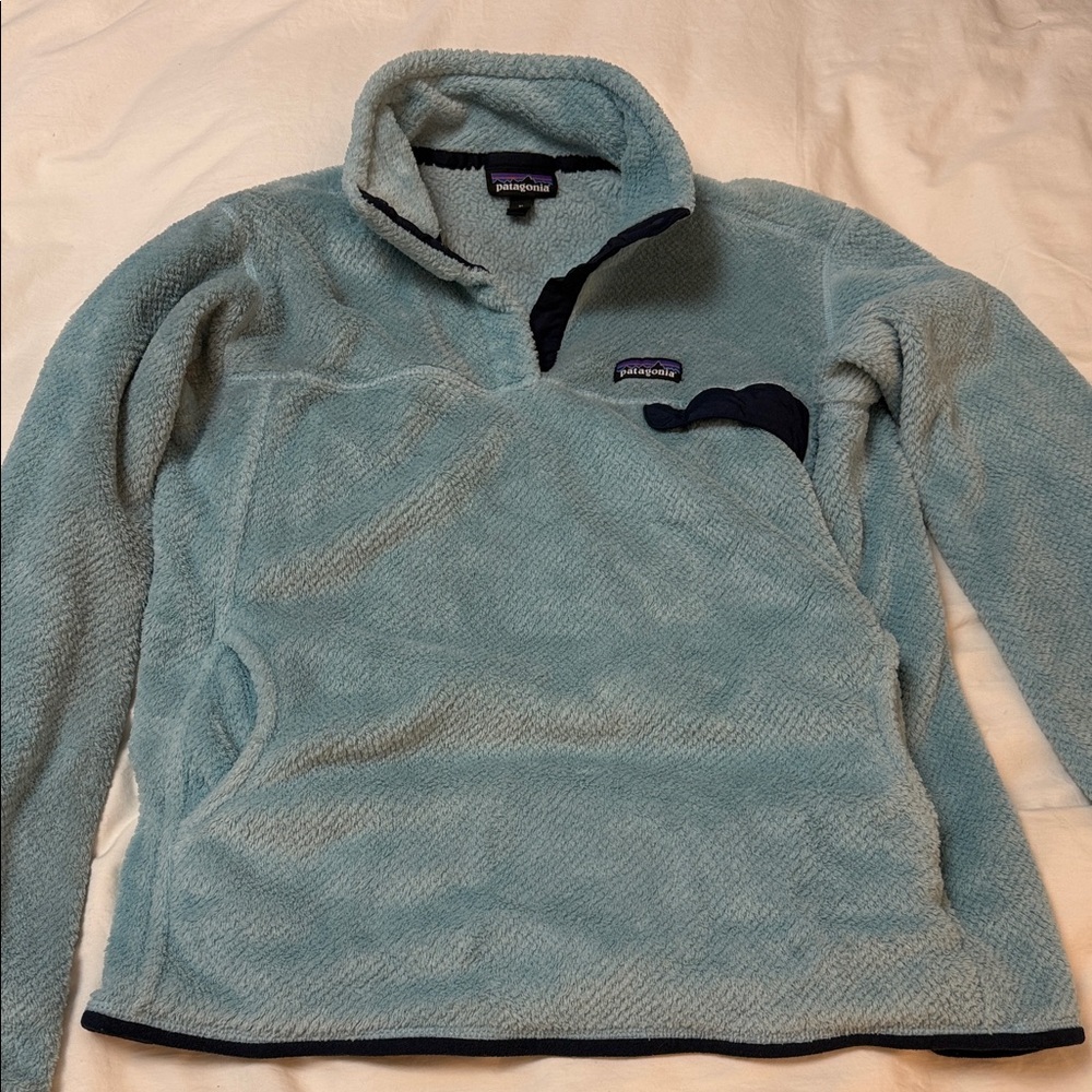 Patagonia Sky Blue Fleece Jacket